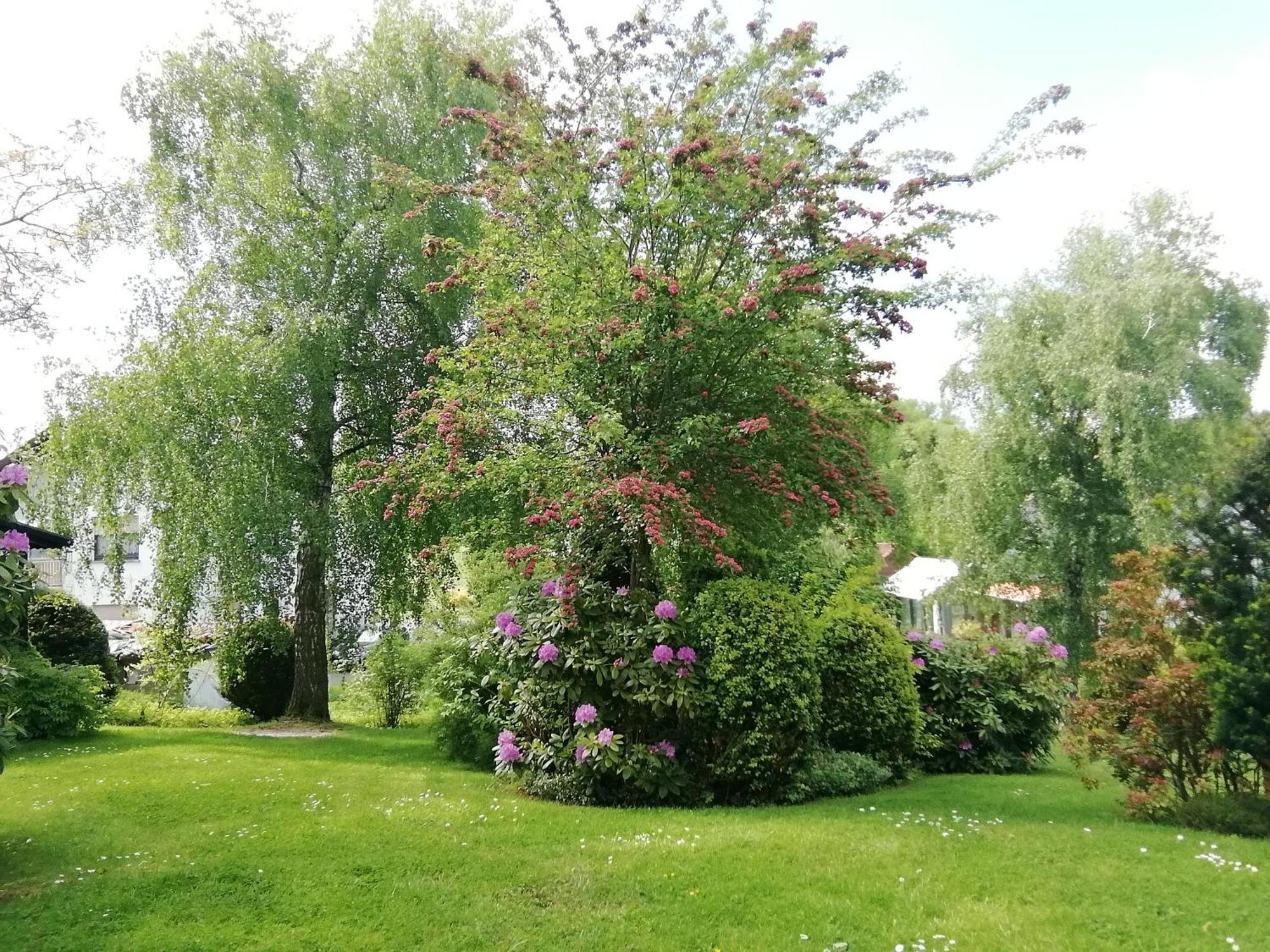 Ferienwohnung Christel Extertal Bagian luar foto